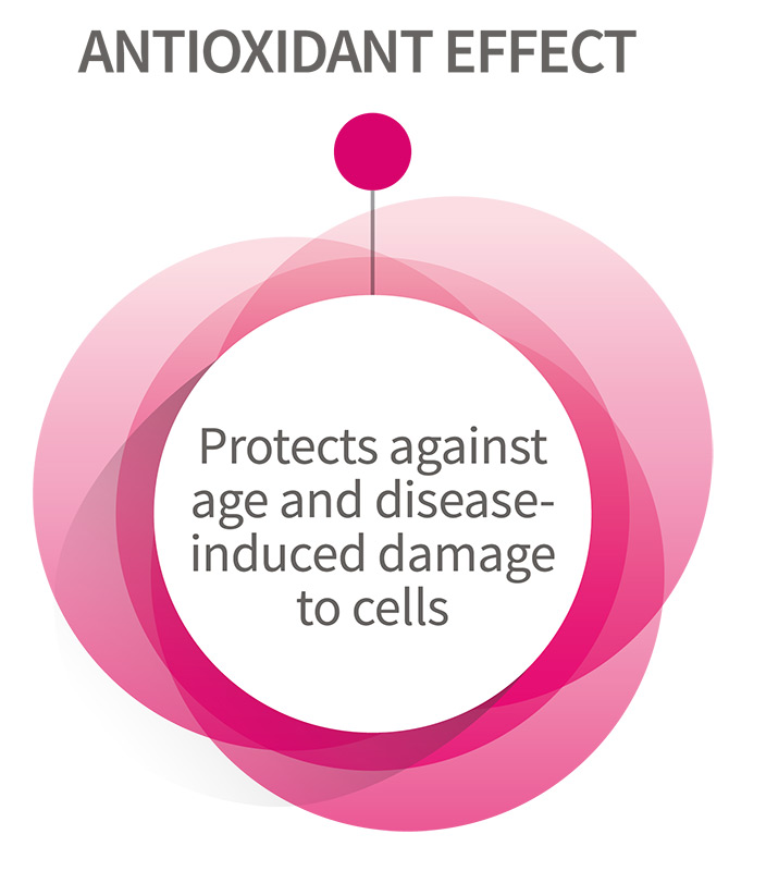 Antioxidant Action - protecting against age and disease-induced damage to cells