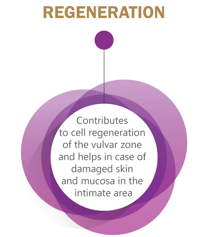 Regeneration - Through vitamins A and E, it has a strong regenerative action