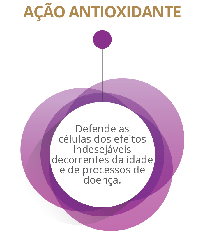 AÇÃO ANTIOXIDANTE - Defende as células dos efeitos indesejáveis decorrentes da idade e de processos de doença.