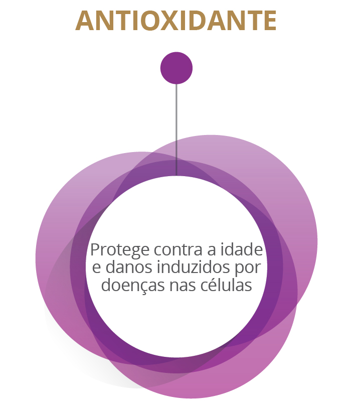 ANTIOXIDANTE Protege contra a idade e danos induzidos por doenças nas células